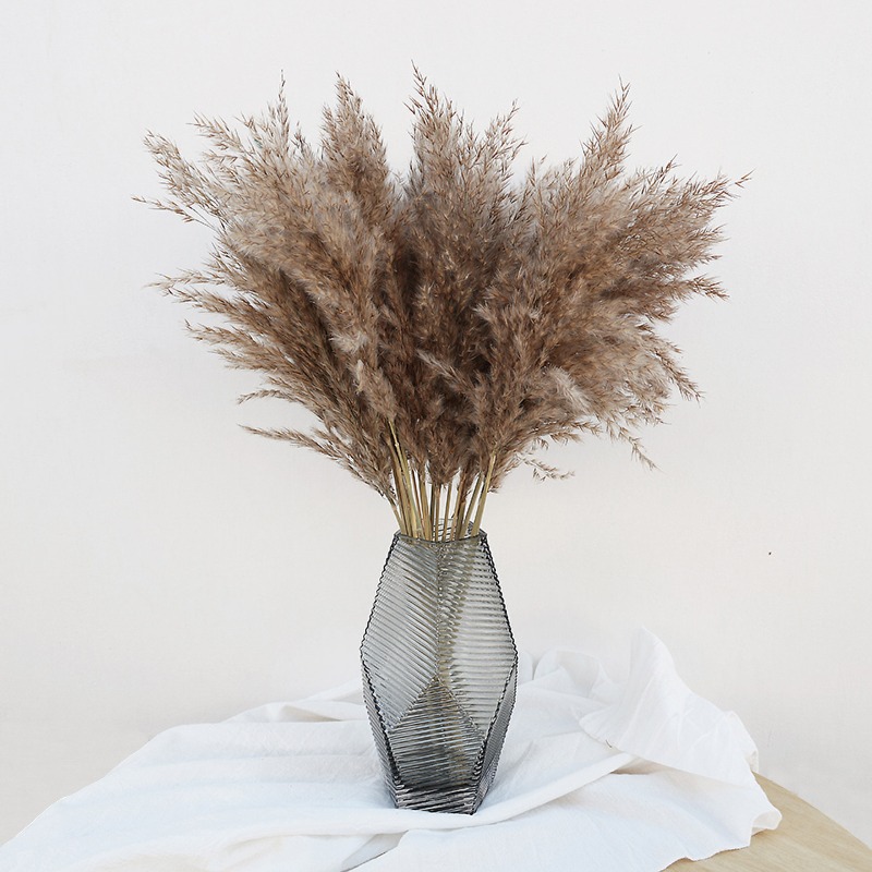 Pampas Grass Decor - 10個入り カラフルな天然葦 パンパスグラス ドライフラワー ホームベース装飾 記念日
