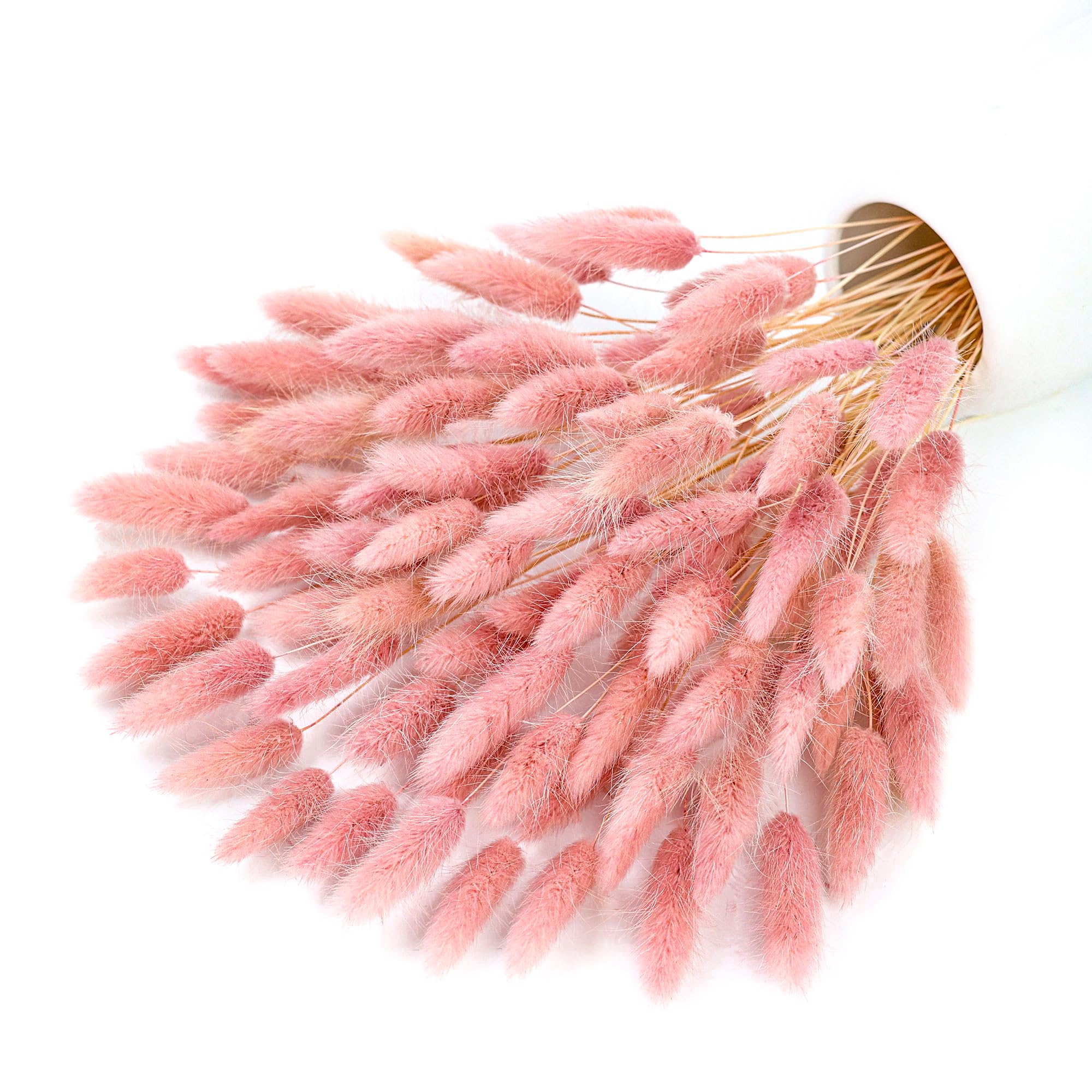 Pampas Grass Decor - 120本のピンクの乾燥パンパスグラス、バニーテールグラスの装飾、ポンパスフラワー、ボヘミアンウェディングのセンターピース、家のテーブル、寝室の装飾に