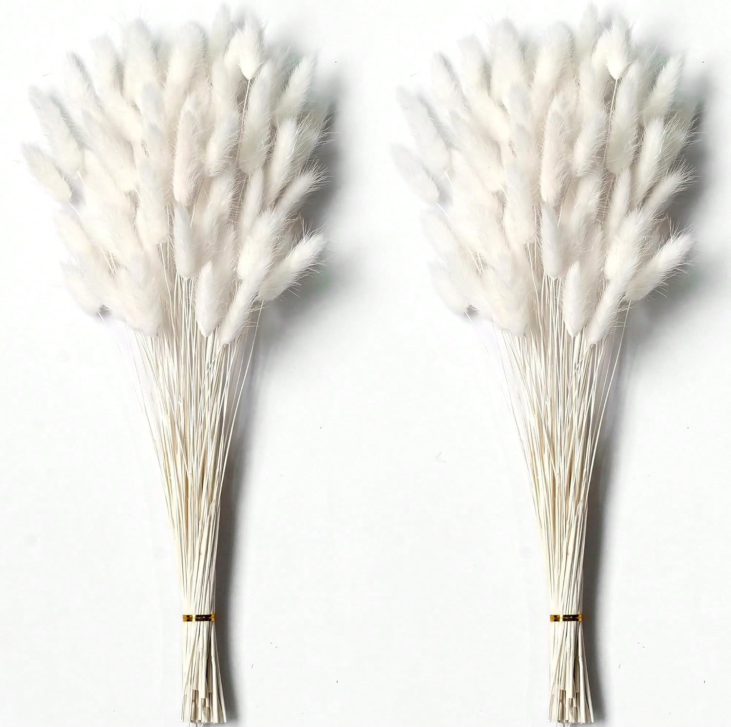 Pampas Grass Decor - 120個入り パンパスグラス ドライフラワー デコレーション用 パンパスグラス 大量