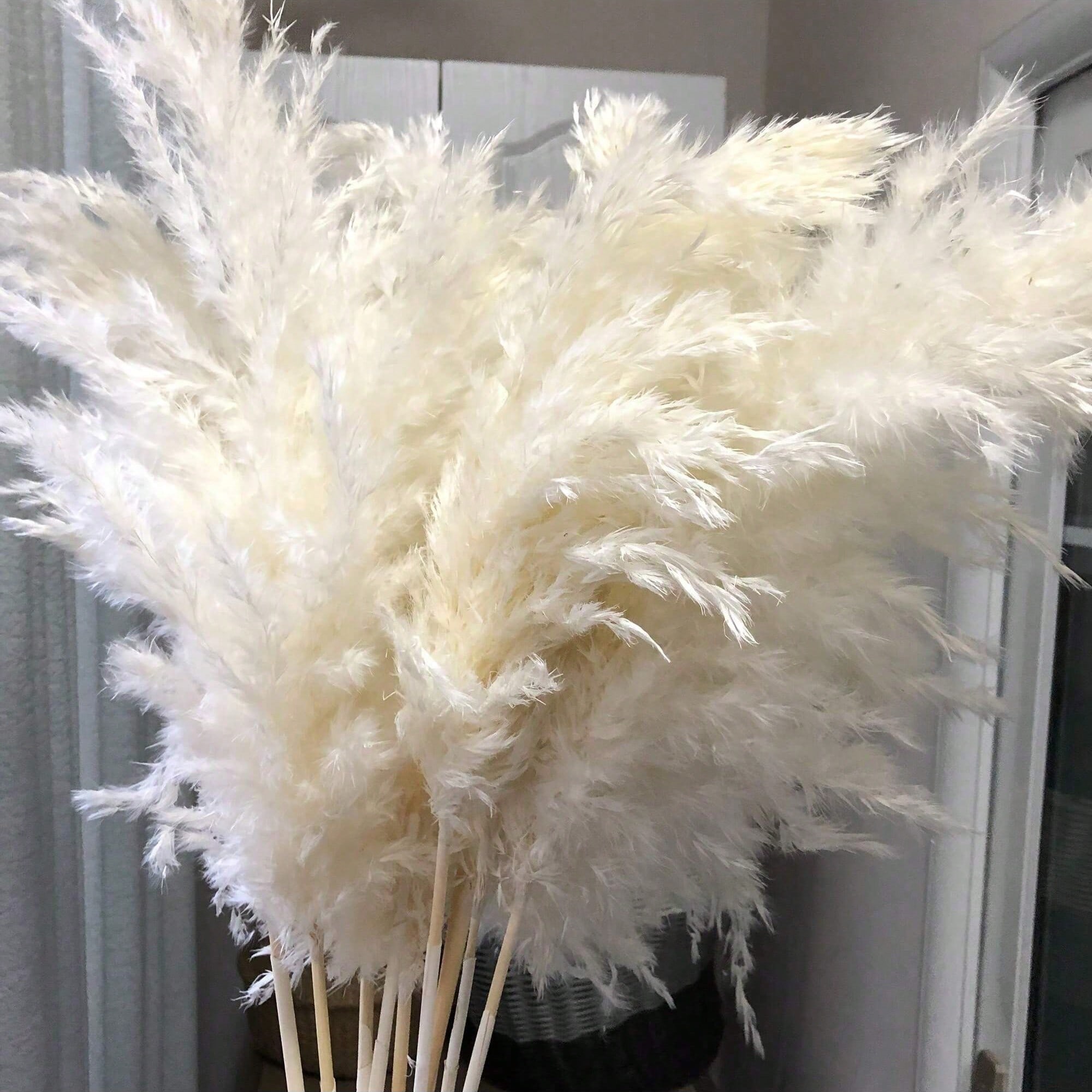Pampas Grass Decor - 10/20/30個入り ホワイト人工パンパスグラスデコレーション 17.3インチ 小さなフェイクリードフェザーブーケ、ブラウンとホワイトの装飾品、ボヘミアンスタイル、ルームフラワーデコレーション、ウェディングベース、リースデコレーション、寝室の装飾