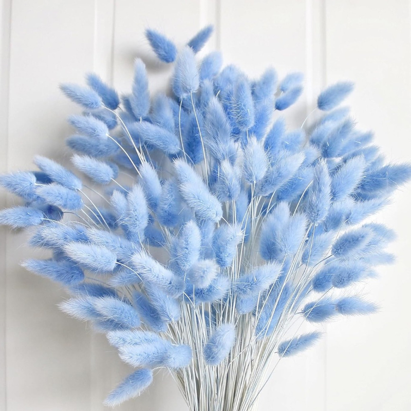 Pampas Grass Decor - 100 個ブルーウサギの尾草バニーウサギの尾ホームルームリビング装飾ドライフラワーパンパスオールシーズン卓上花瓶装飾