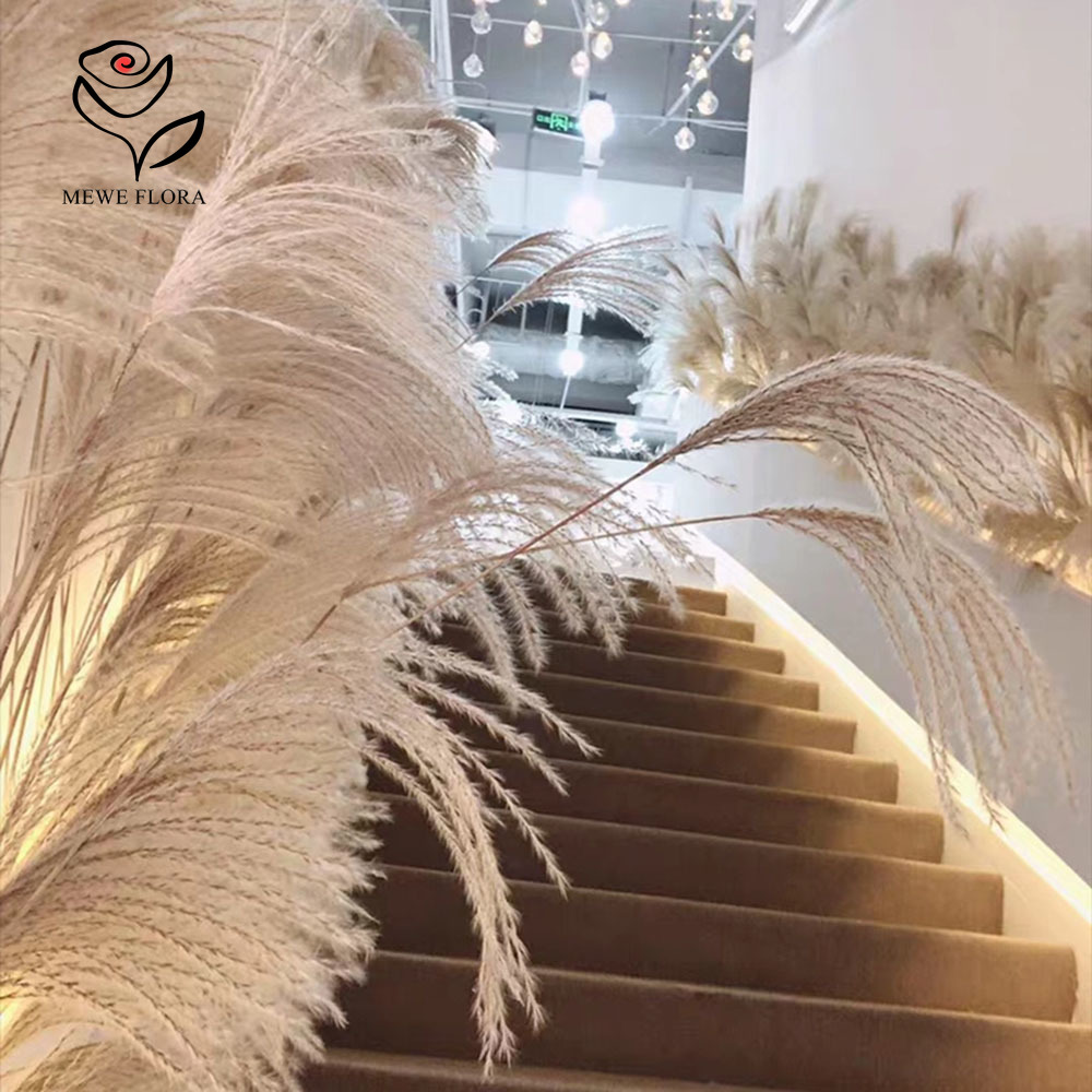 200 個の天然乾燥ふわふわリードフラワーブーケショップウィ - Pampas Grass Decor のレビューと価格