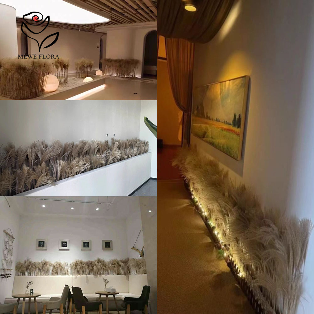 200 個の天然乾燥ふわふわリードフラワーブーケショップウィ - Pampas Grass Decor のレビューと価格