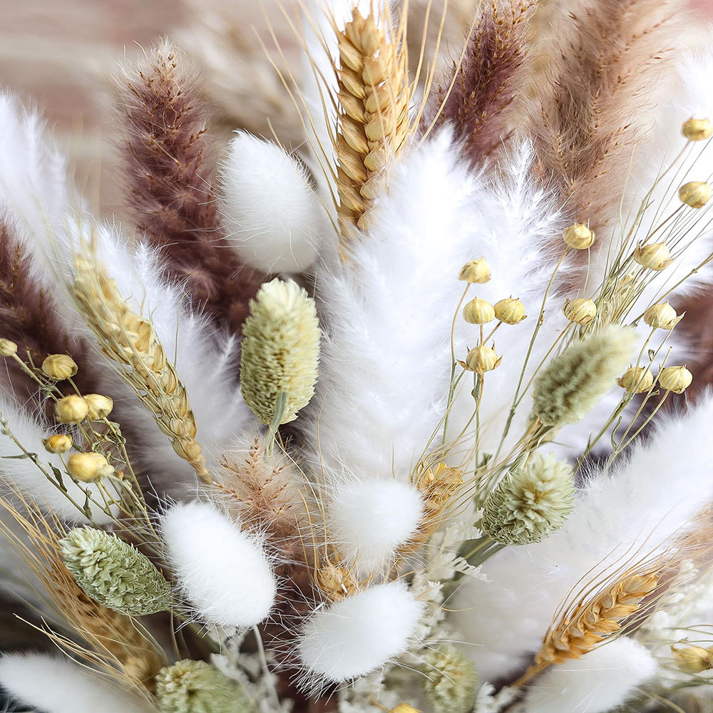 100本入り ドライパンパスグラスブーケ ラビットテイル リ - Pampas Grass Decor のレビューと価格