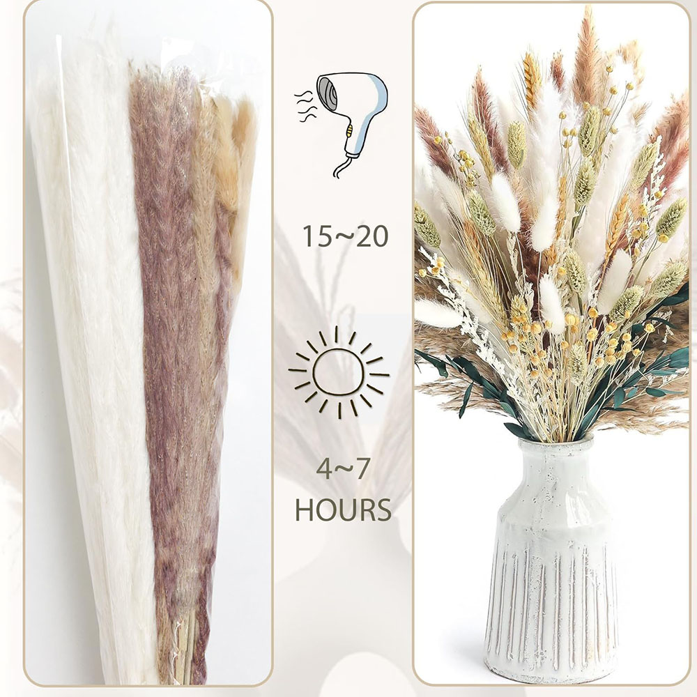 100本入り ドライパンパスグラスブーケ ラビットテイル リ - Pampas Grass Decor のレビューと価格