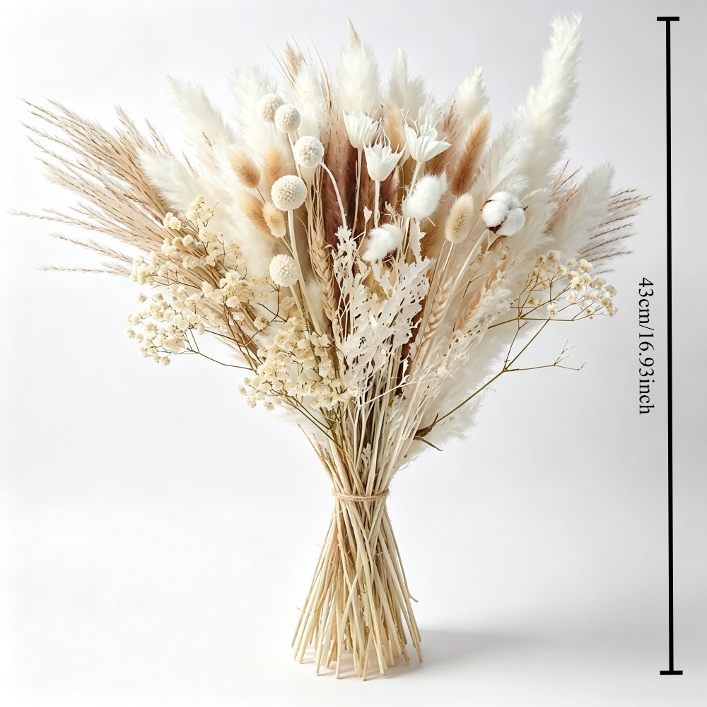 天然ドライパンパスグラスブーケ、ドライコットンフラワーとリモ - Pampas Grass Decor のレビューと価格