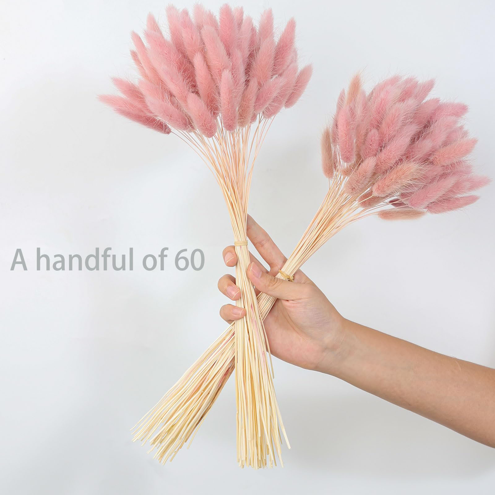 120本のピンクの乾燥パンパスグラス、バニーテールグラスの装 - Pampas Grass Decor のレビューと価格