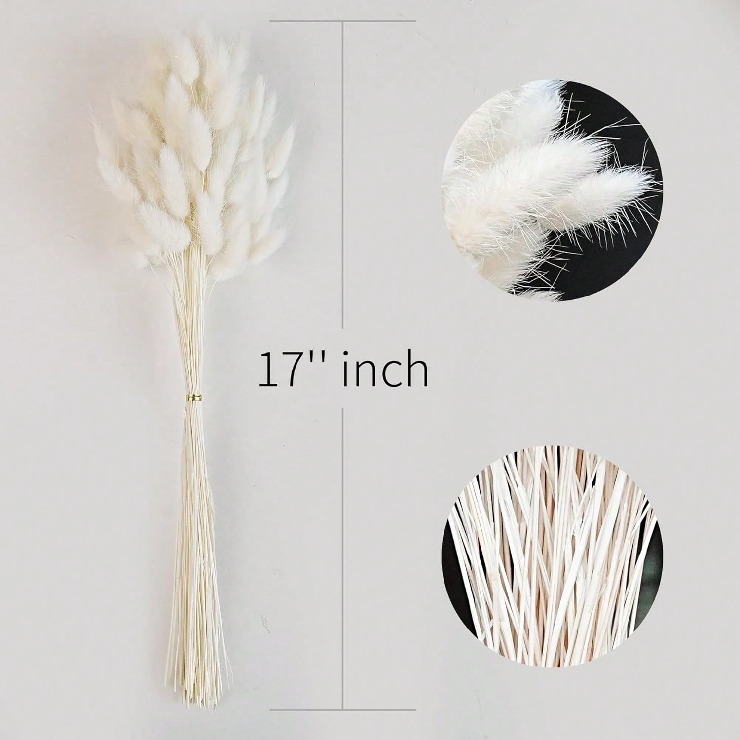 120個入り パンパスグラス ドライフラワー デコレーション - Pampas Grass Decor のレビューと価格