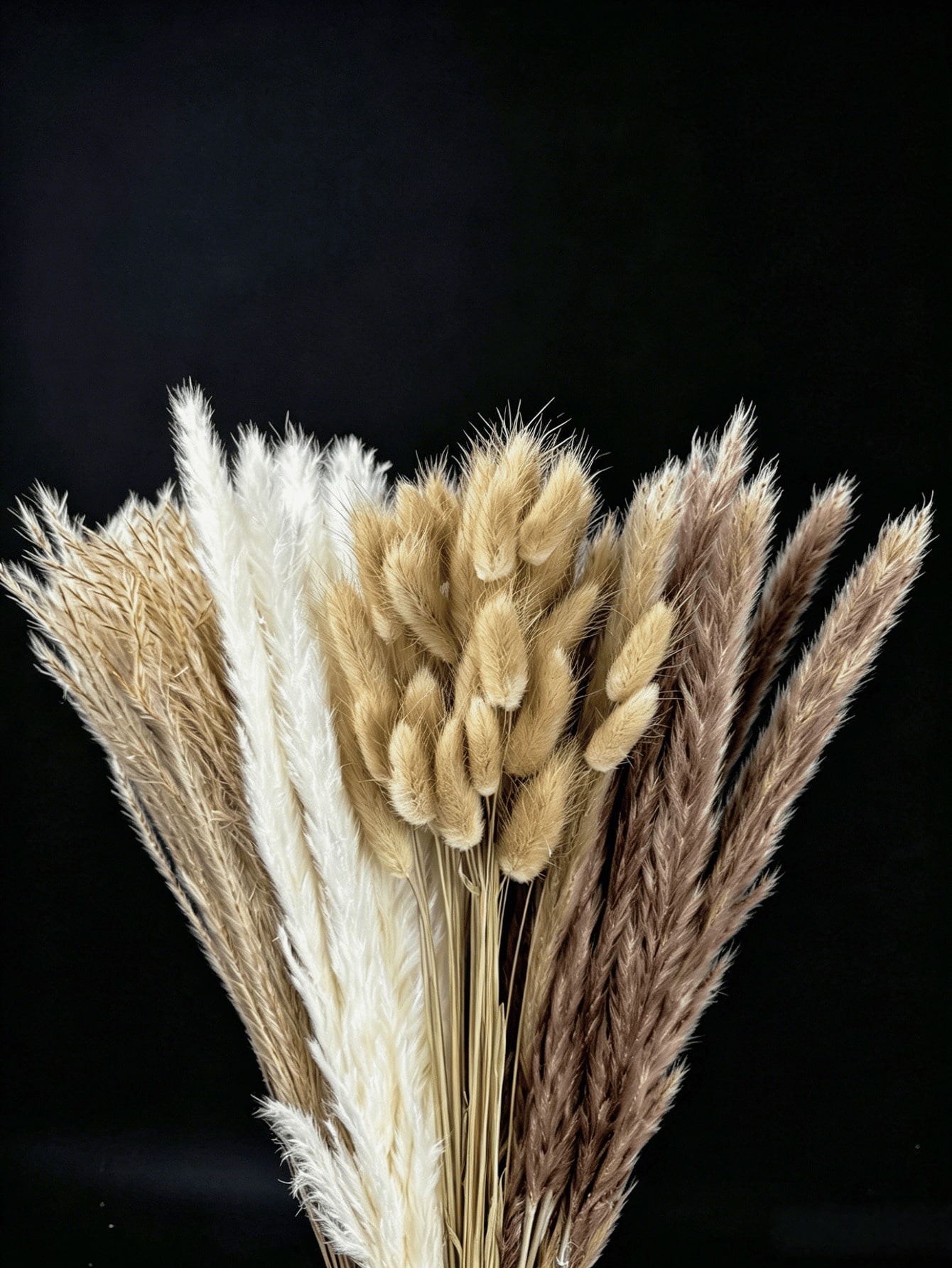 10/20/30個入り ホワイト人工パンパスグラスデコレーシ - Pampas Grass Decor のレビューと価格