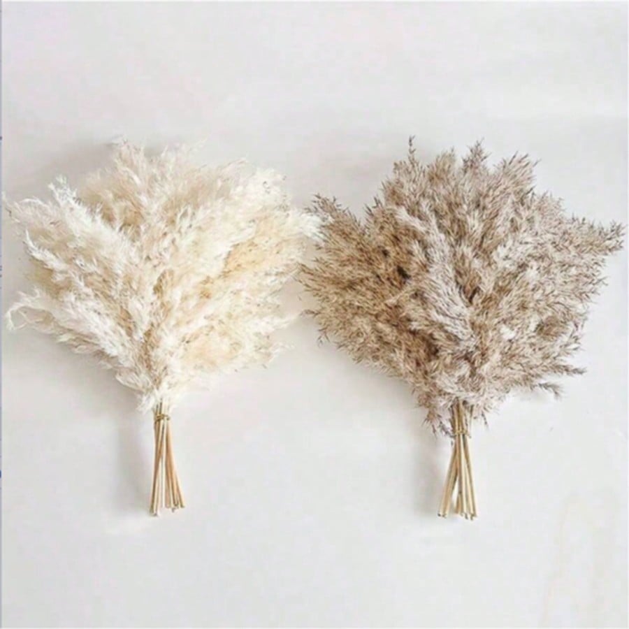 10/20/30個入り ホワイト人工パンパスグラスデコレーシ - Pampas Grass Decor のレビューと価格