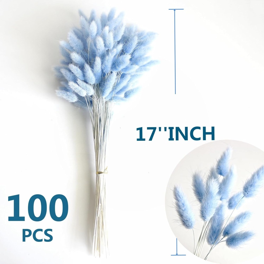 100 個ブルーウサギの尾草バニーウサギの尾ホームルームリビ - Pampas Grass Decor のレビューと価格