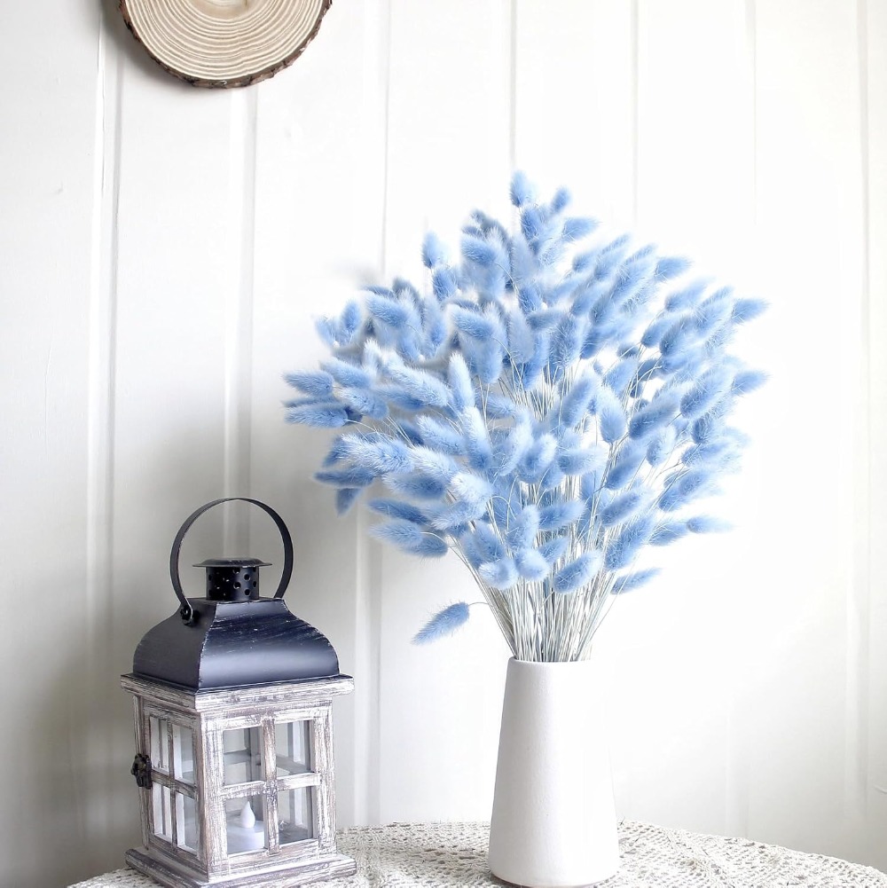 100 個ブルーウサギの尾草バニーウサギの尾ホームルームリビ - Pampas Grass Decor のレビューと価格