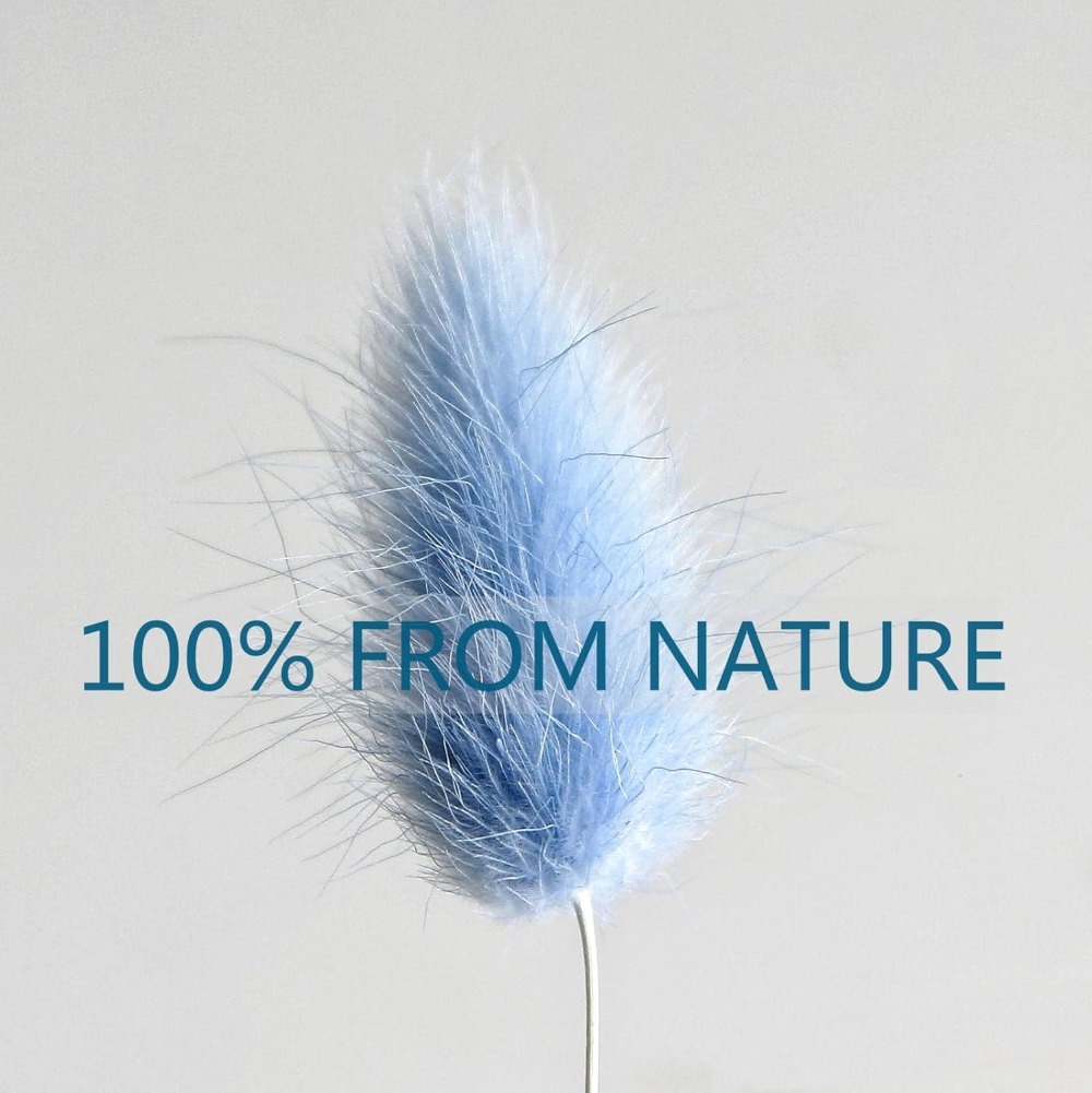 100 個ブルーウサギの尾草バニーウサギの尾ホームルームリビ - Pampas Grass Decor のレビューと価格