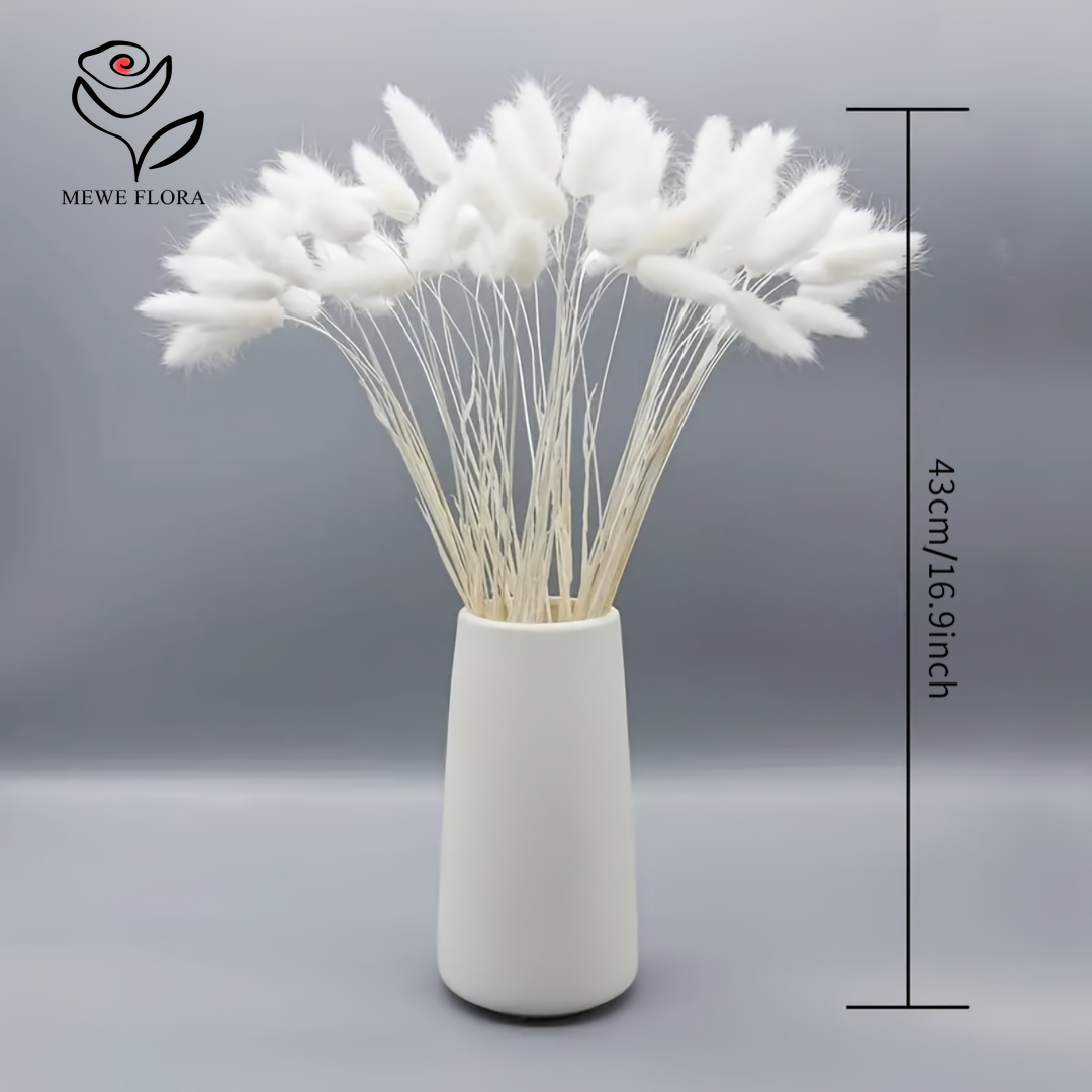 150個入り ホワイト ナチュラル ふわふわ ラビットテール - Pampas Grass Decor のレビューと価格